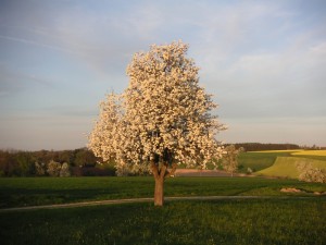 Frühling bedeutet Neubeginn